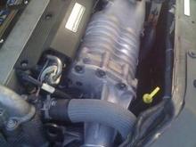 engine bay