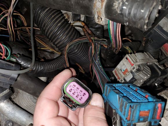 So this ome comes right out of the wiring bundle for the ecu plug and only has 8 in of wire id say so im guessing it goes on the next one that is attached to the fuel rail.