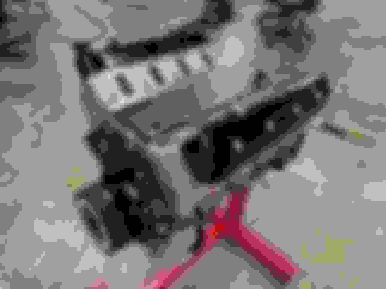 FS (For Sale) 2200HP LSX Complete Engine Dry Sump - CorvetteForum ...