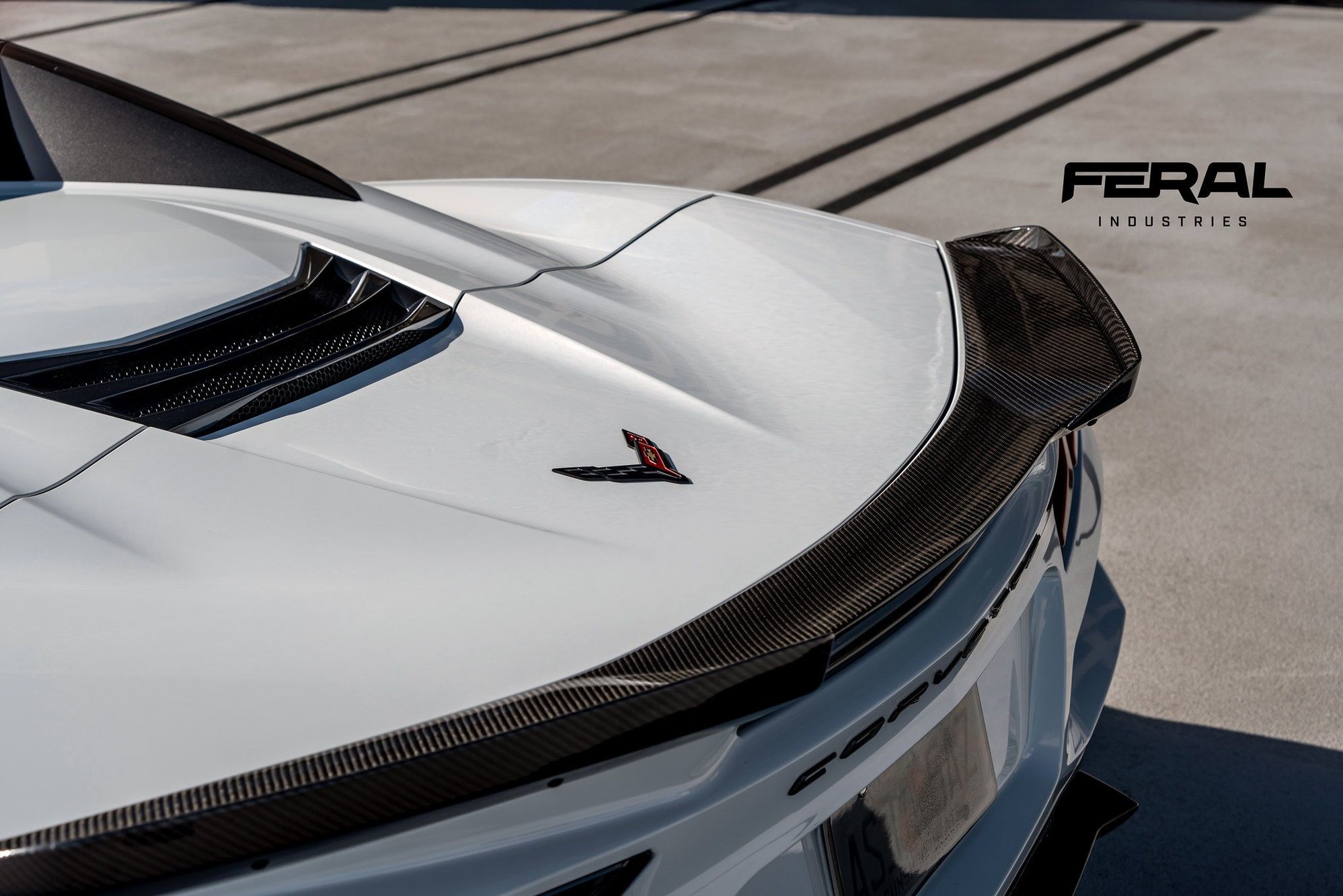 Carbon Fiber Rear Low Wing w/ Winglets