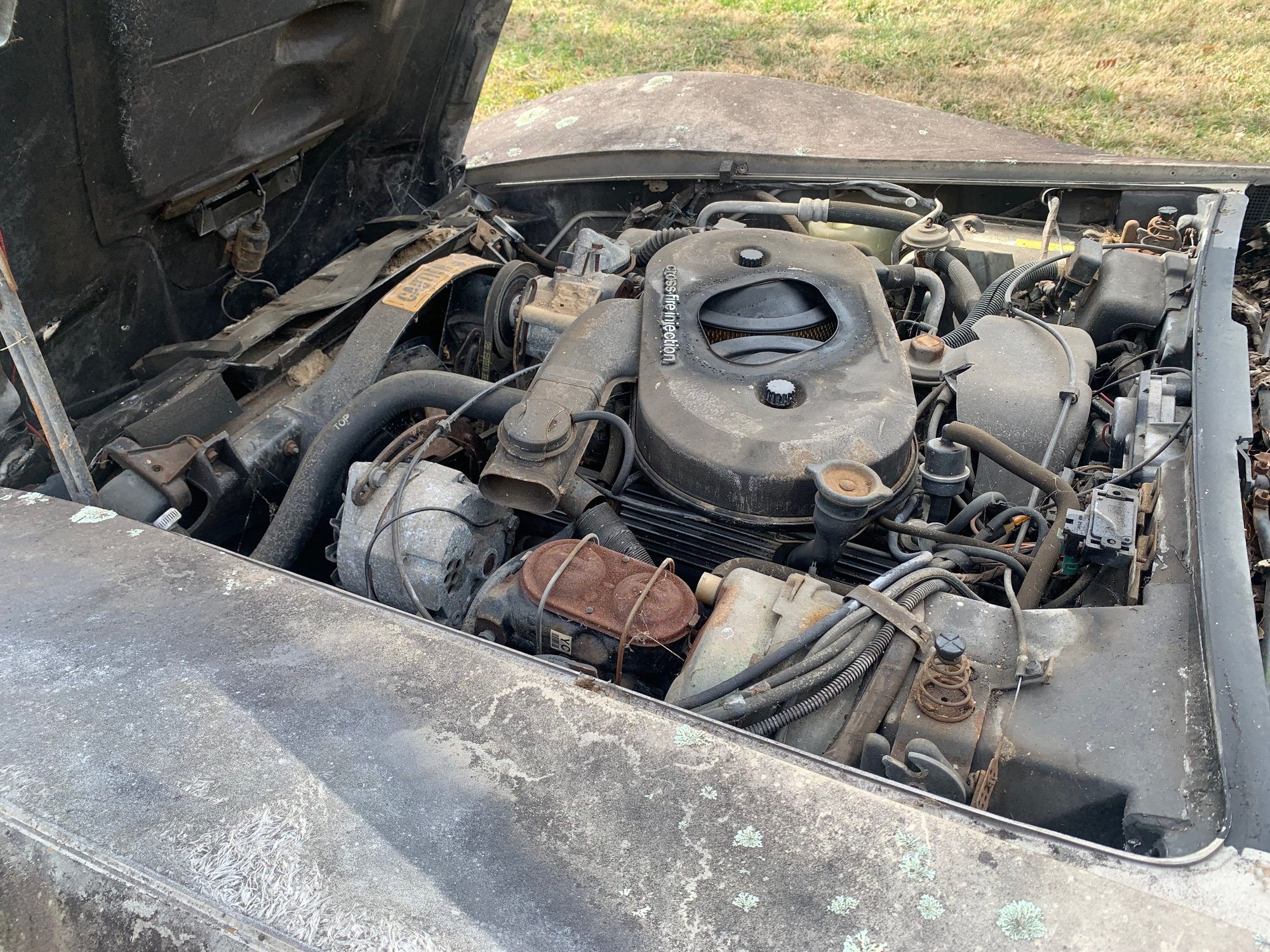 Pictures for the 1982 Collectors Edition. It has 13,200 miles showing on the odometer. I verified the miles with the owner when I purchased my 1957 from him . She has found the ignition key for the 82 still looking for the door key. Hood release worked on this one good thing! 