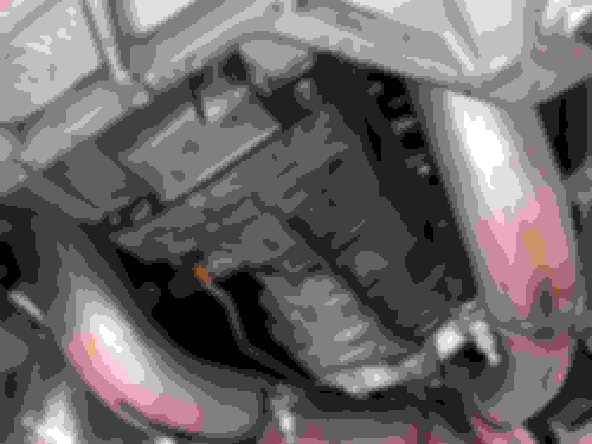 Leaky Transmission? CorvetteForum Chevrolet Corvette Forum Discussion