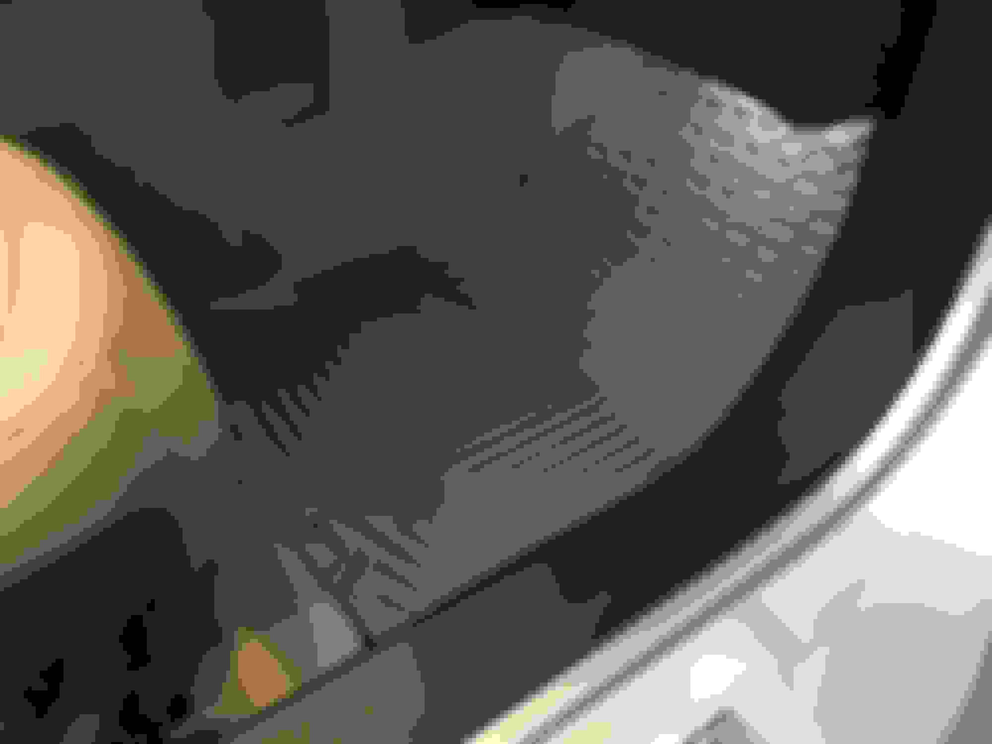 WeatherTech mat questions (gray interior & smell) CorvetteForum