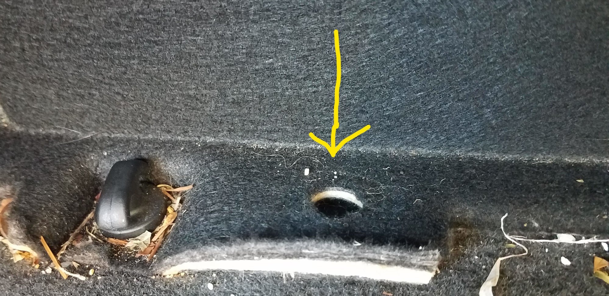 2006 Convertible Trunk Partion Problem CorvetteForum Chevrolet