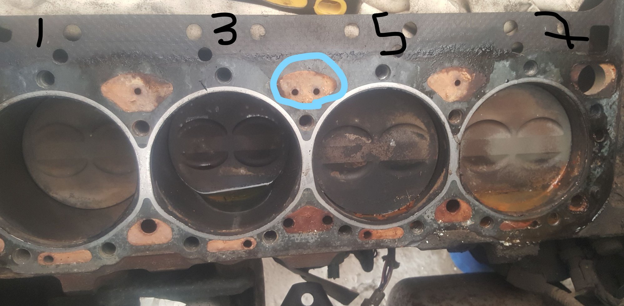 Cylinder head gasket issues Help Needed CorvetteForum Chevrolet