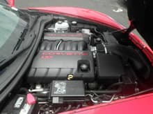2011 C6 Corvette Coup - Passenger Side - Engine