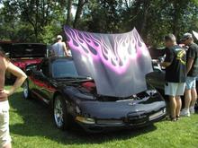 The new paint.