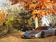 Corvette in Fall 1