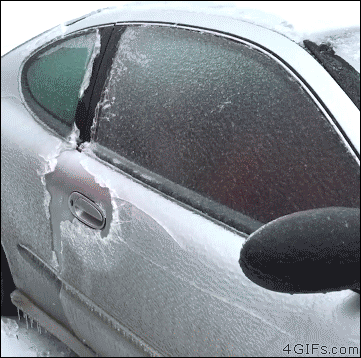 img_4215_fb4de2e958ec964b2a7795de7cf5659fc3dbc7e6.gif