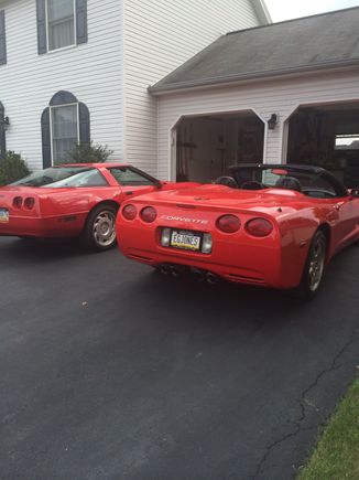 Of course they are red!