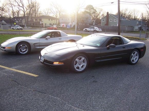 Vettes