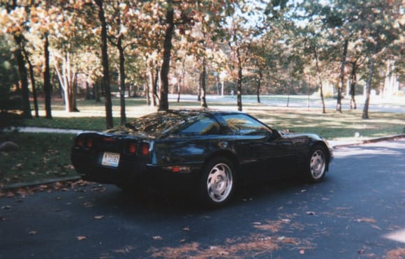 We were a two Corvette family back in the 90's.