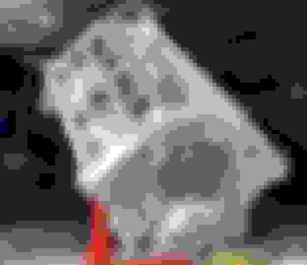 FS (For Sale) 1,000whp+ Capable C6 Z06 (Darton Sleeve LS7, CNC