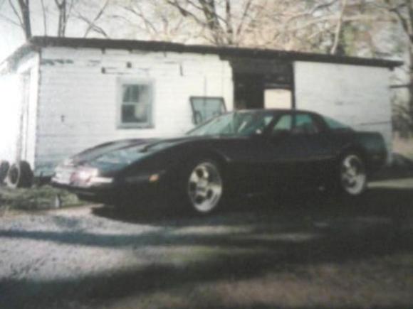 vette in back yard