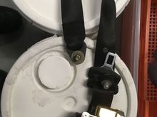 the complete belt