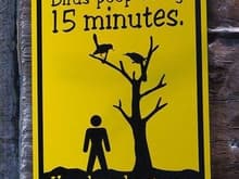 birds poop every 15 minutes1
