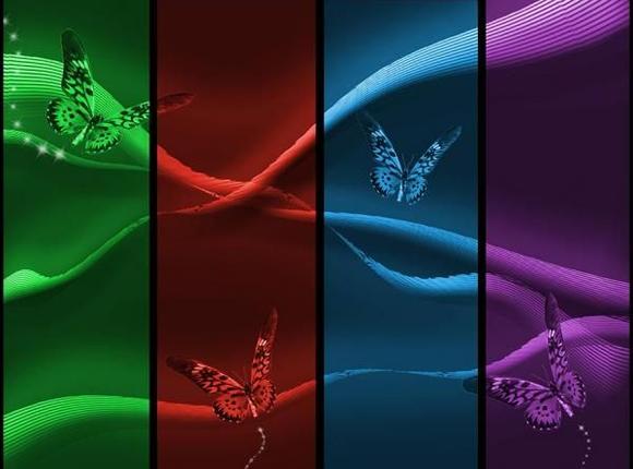 butterflies3