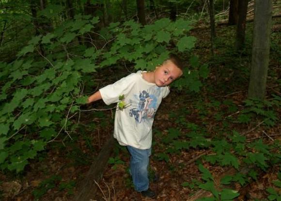 summer Chase in the woods
