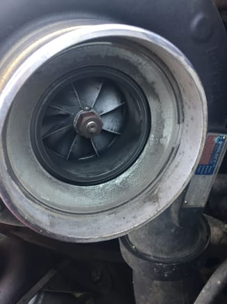 I Found a cheap small spectre air filter. I wanted to see how much it would bump my MPG. I pulled the original intake boot and the Silencer ring was a pleasure to see.