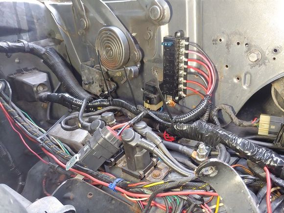Wiring installed, organized, loomed and ready to roll