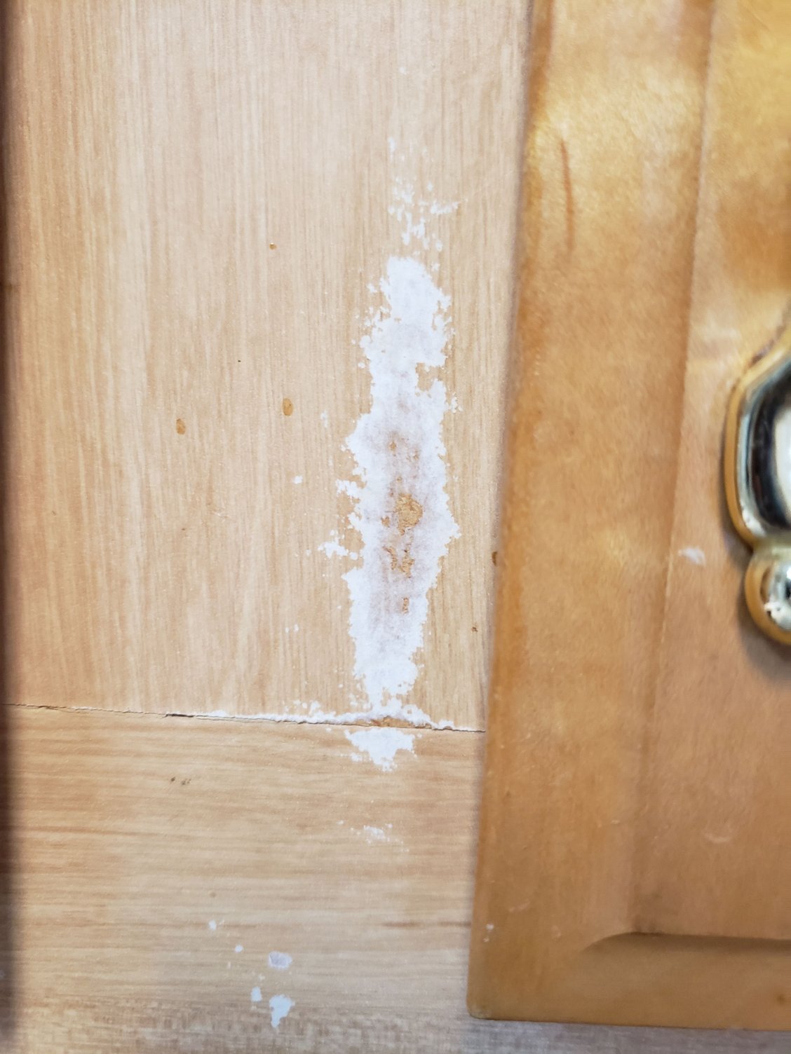 Repair of kitchen face frames Community Forums