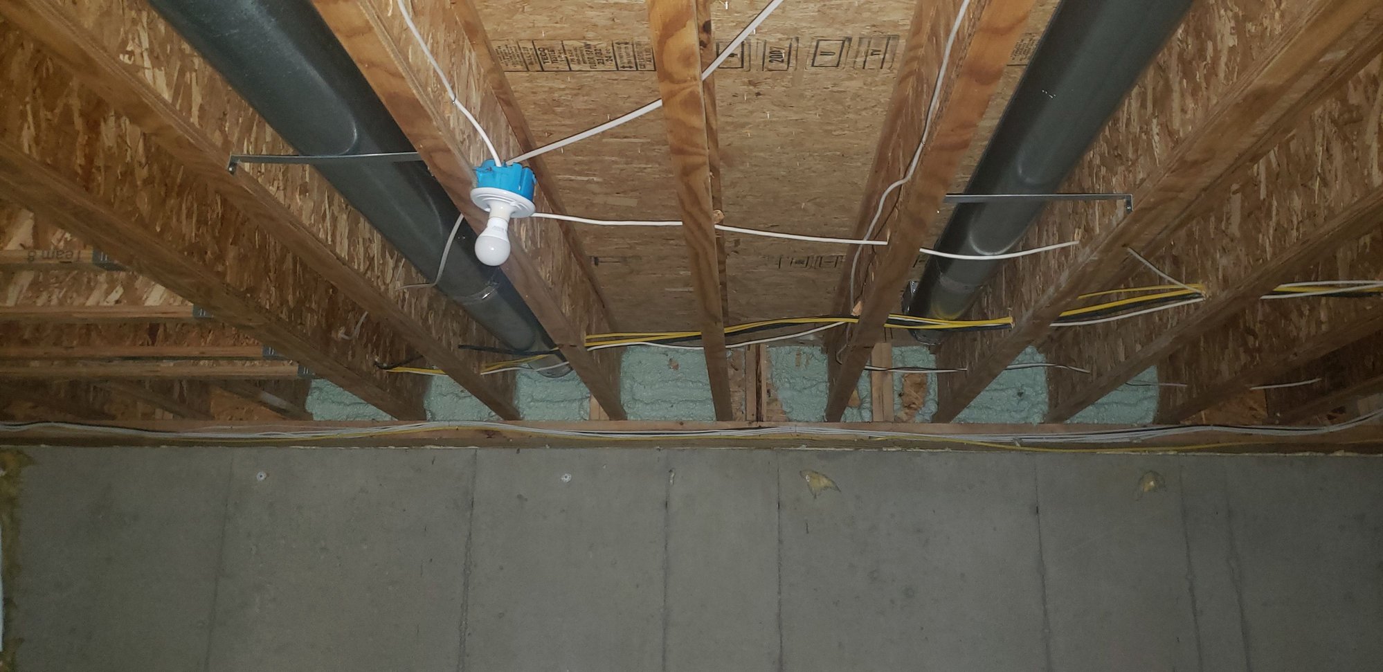 Squash block rot Community Forums