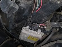 Signal light harness
