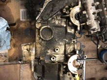 Side of the head was super dirty