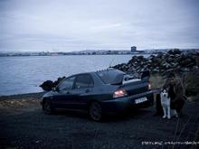 My Evo, Me &amp; Panda my husky