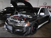 panda front
