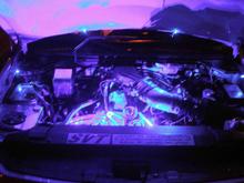 my Lightnings engine bay