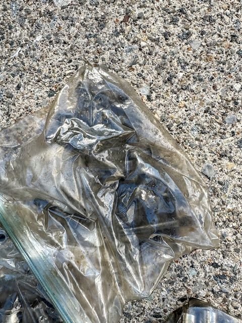 Engine - Internals - Evo 8 Head - Used - 0  All Models - Lincoln Park, NJ 07035, United States