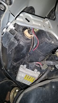 Another pic of the signal harness. (It's the skin toned one if it wasn't obvious)