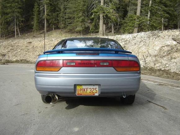 Wing complements curves.  
My friends can't believe how well the Neon wing goes with the 240SX.  I can't believe the vendor gave me so much lip before selling it to me.  They were trying to tell me why it wouldn't fit a 240SX and I asked "Do you know what a 240SX looks like?" The never answered that question.  I also asked "Do you know how ugly your supposed 240SX wings are?"  They didn't have an answer for that, either.

Hint: The customer is always right, especially when he's an engineer.