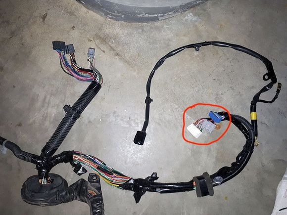 the ones circled here i believe. Correct me if i am wrong.