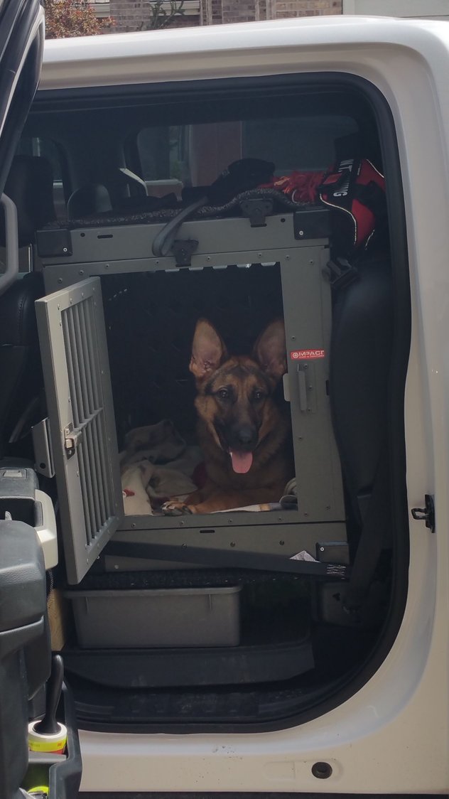 Idea(or pics) of putting a portable dog crate with the rear seats