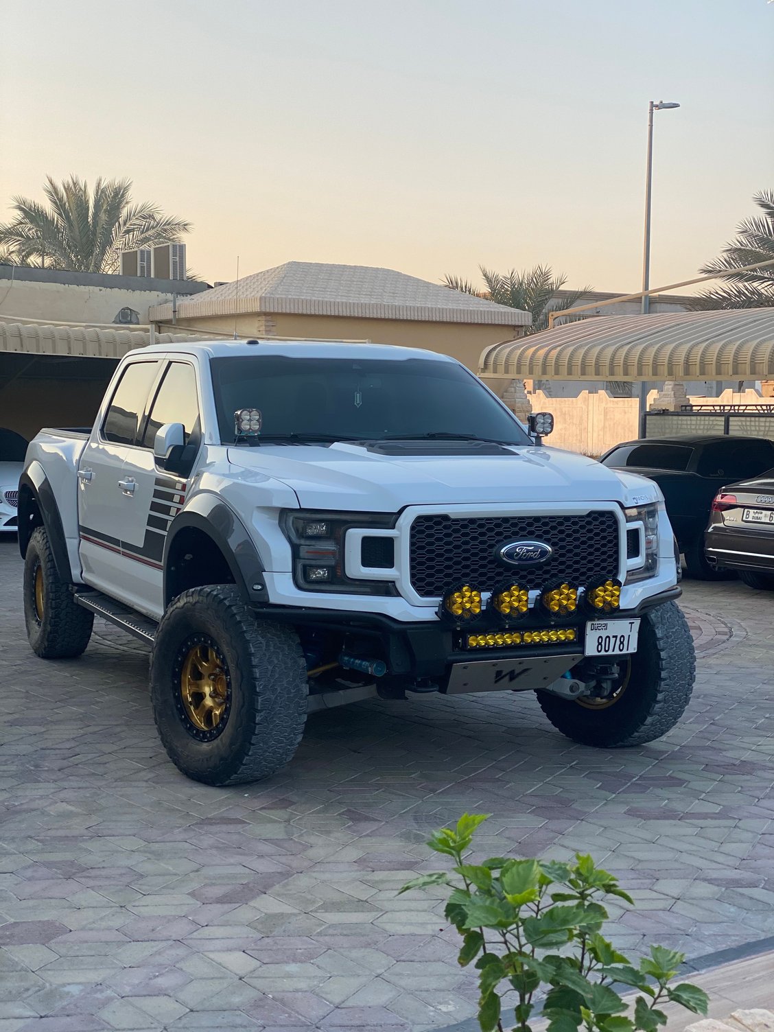 2021 super snake truck on Vote January 2021 Truck Of The Month Ford F150 Forum Community Of Ford Truck Fans