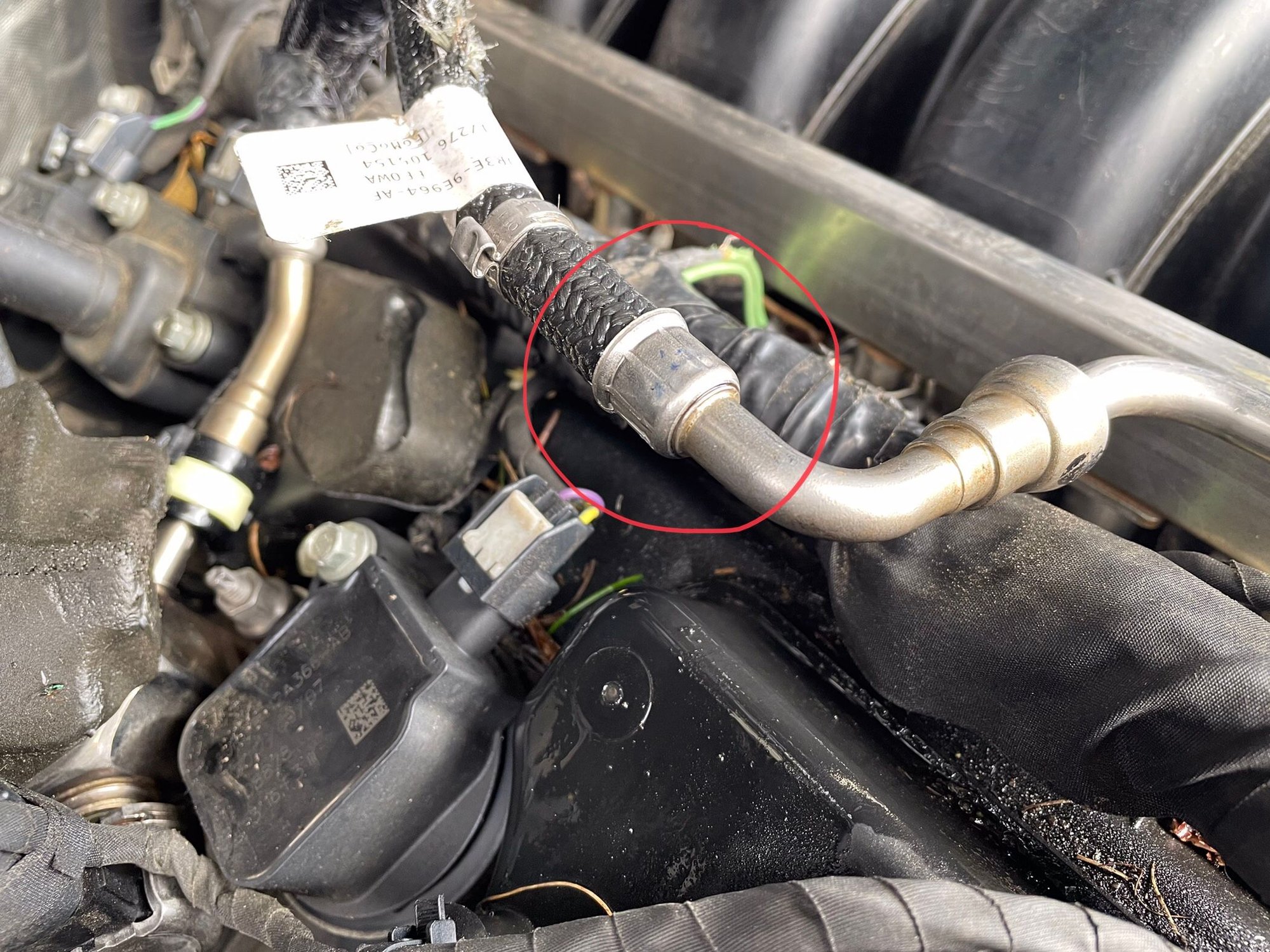 Squirrel ate through a fuel line. Ford F150 Forum Community of Ford