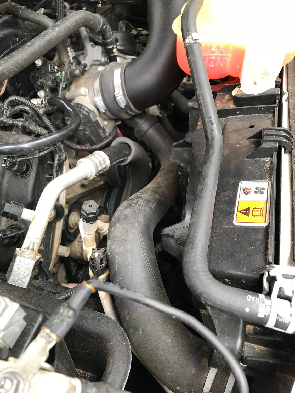 5.0 upper radiator hose rubbing Ford F150 Forum Community of Ford