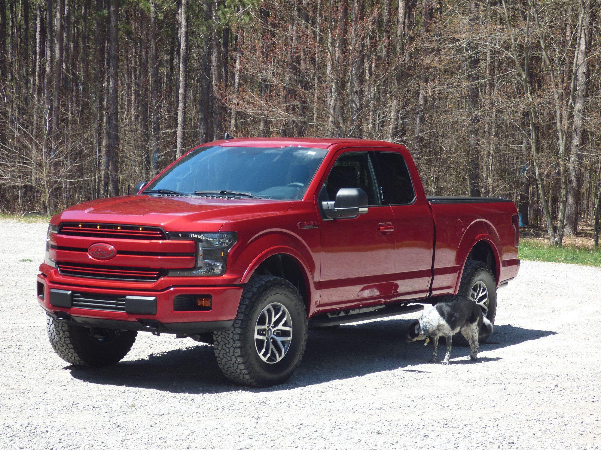 Raptor wheels on 2wd regular cab 2018 - Ford F150 Forum - Community of ...