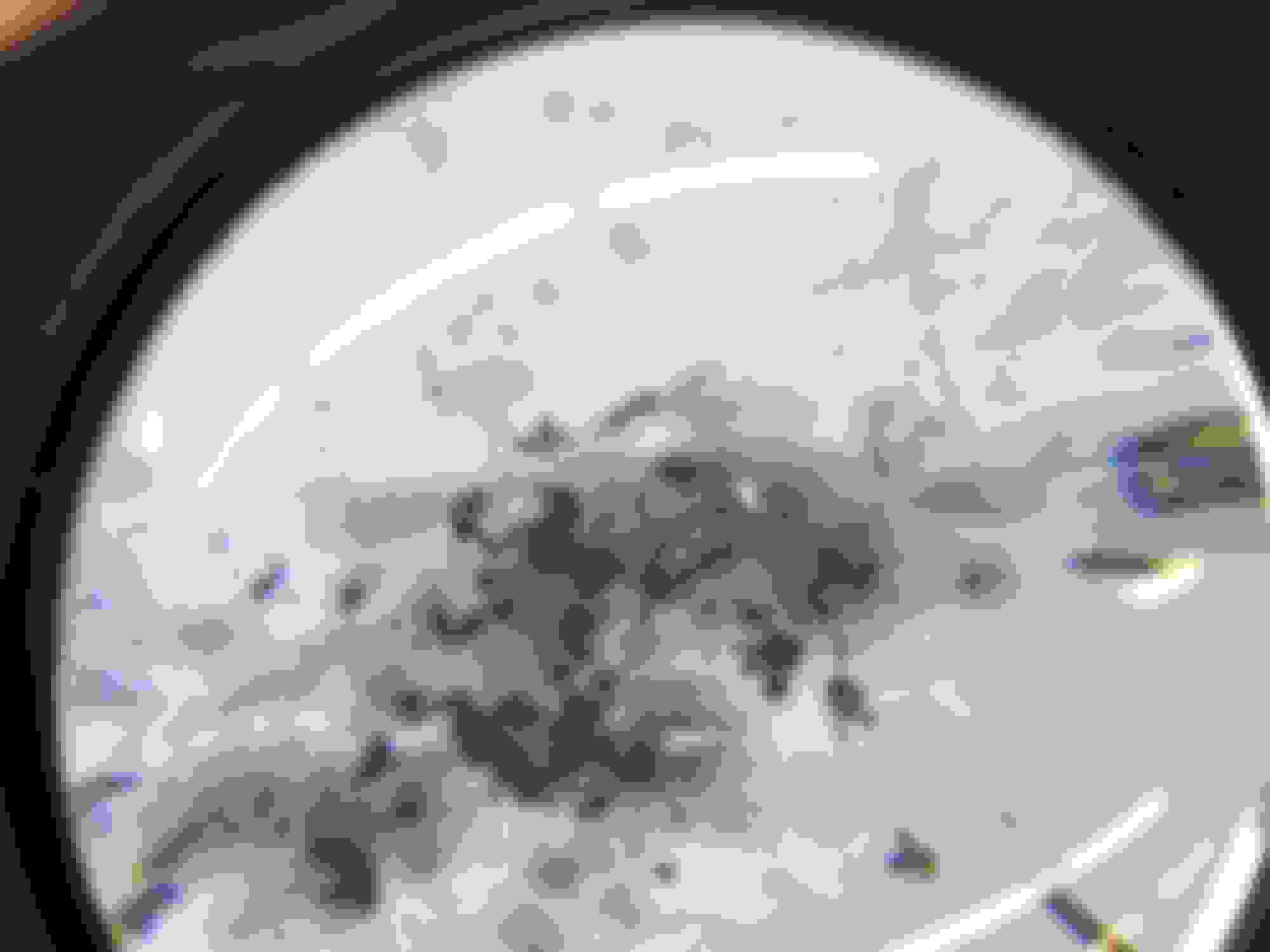 Oil pickup tube clogged Ford F150 Forum Community of Ford Truck Fans