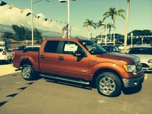2013 FORD F150 Ecoboost