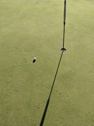 Rolled right past the pin, almost a Hole-in-one!