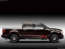 THE 2010 Harley F150