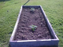 Planted onions, carrots, and tomatoes!