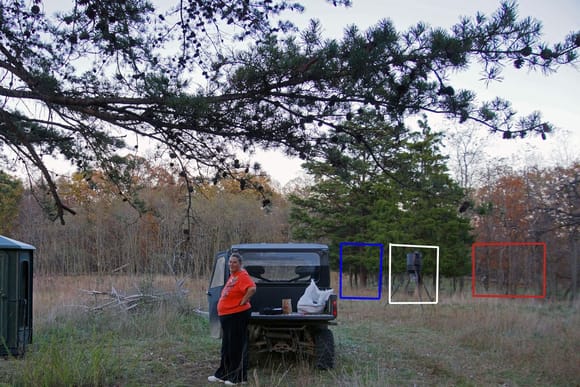 The orange square is where the tree is that the bucks were squaring off. The Blue square is the tree where my sister was pointing.