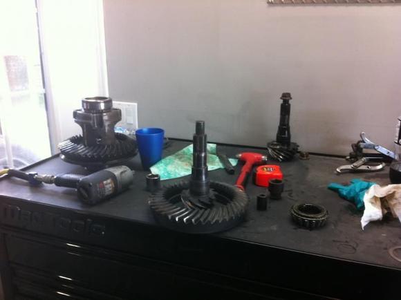 IMG 0923