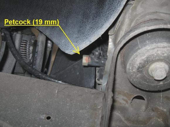 Timing Cover Gasket 03