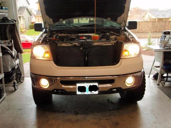 stock heads and fogs