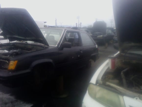 Rust free tailgate!